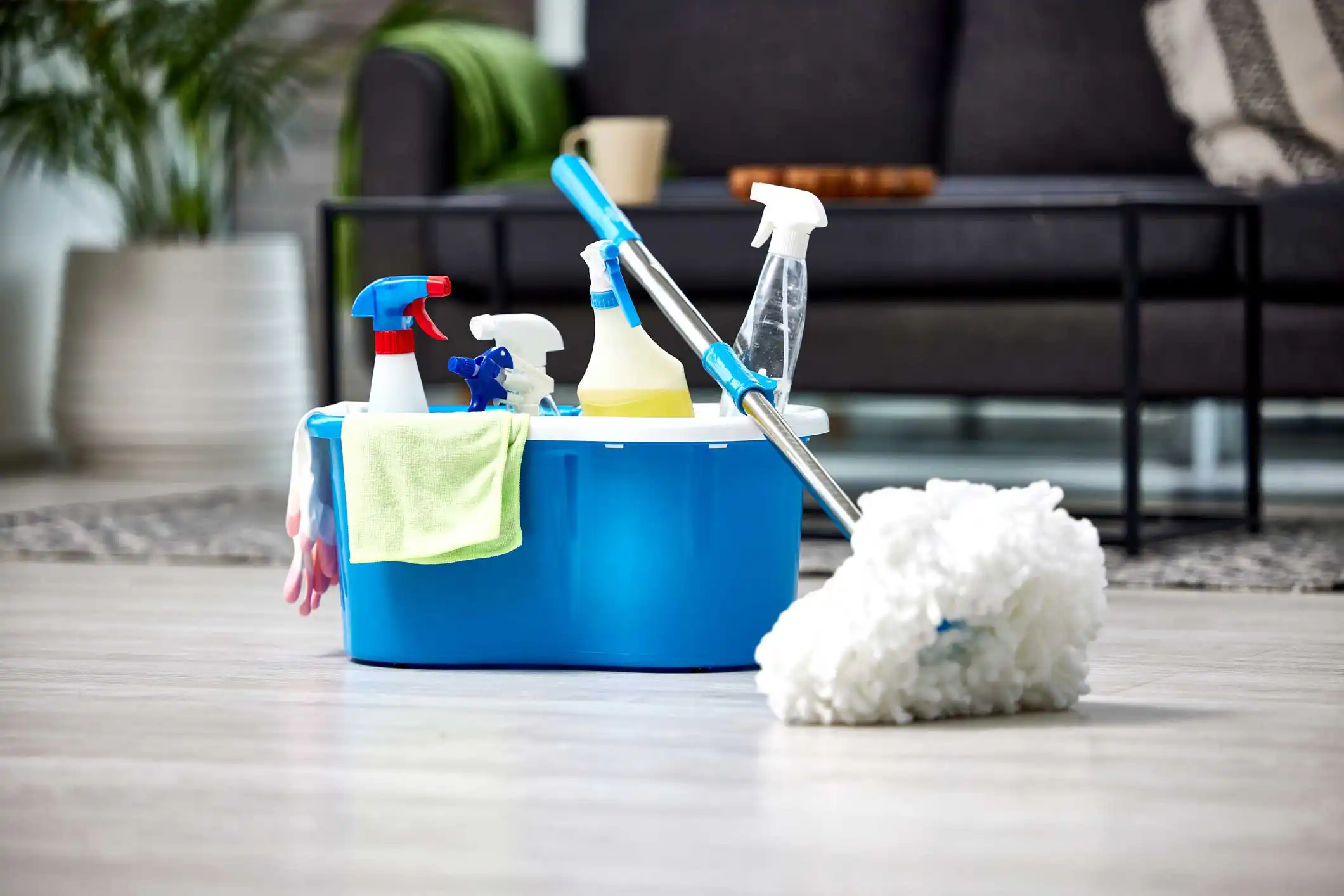 Cleaning Service